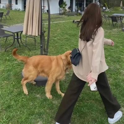 伊甸园第二季