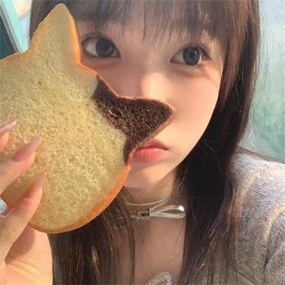 没人瞭波斯猫